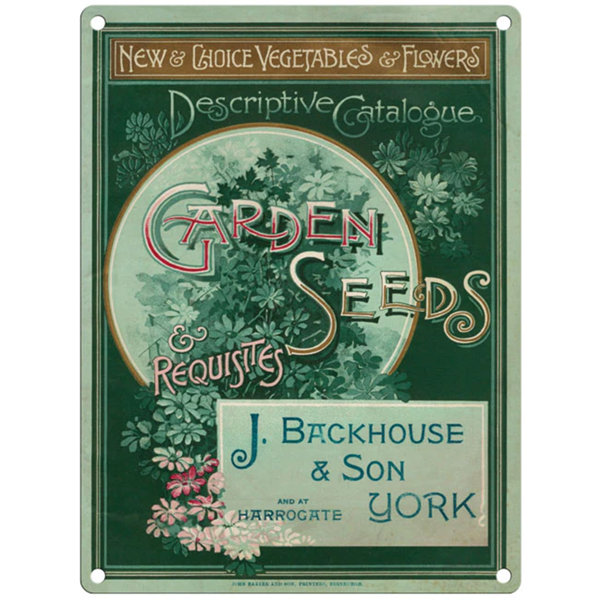 Maturi Vintage Retro Wall Décor Wayfair.co.uk